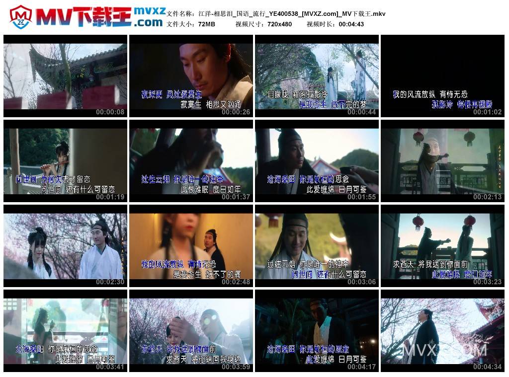 江洋-相思泪_国语_流行_YE400538